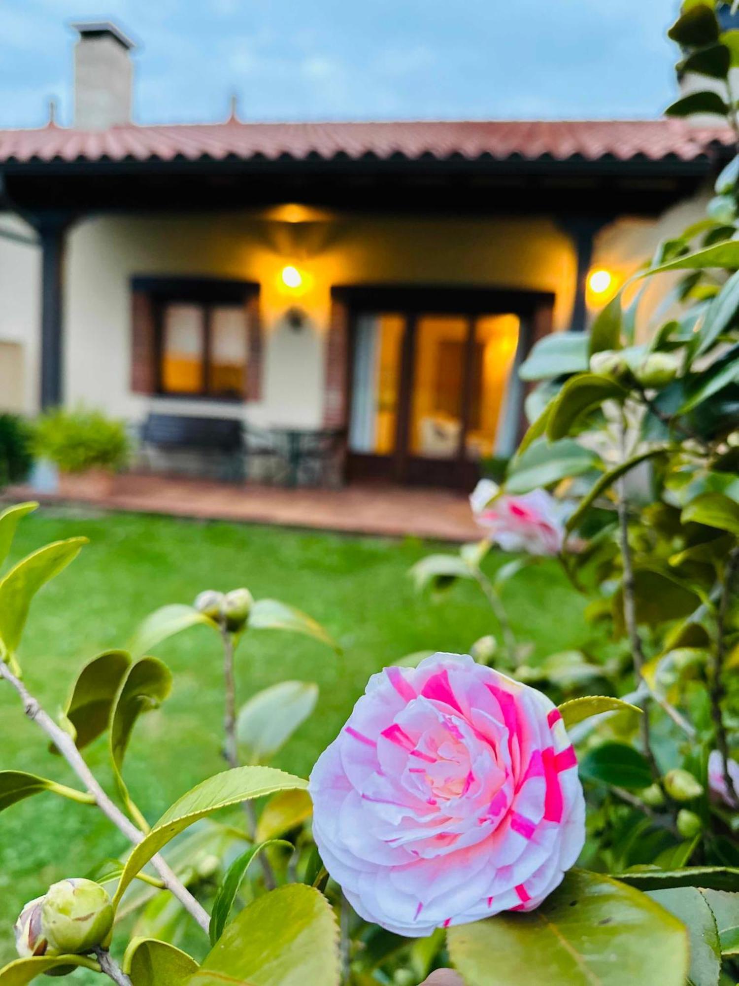 Apartamentos Rurales La Carbayala Oviñana Buitenkant foto